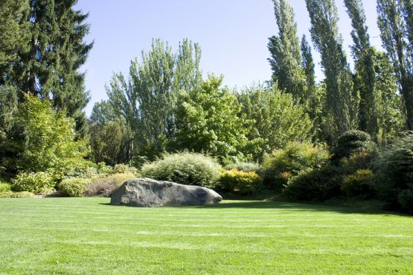 Yard Enlargement in Van Nuys