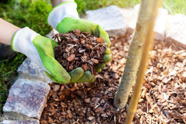 Tree Bark Delivery in Van Nuys