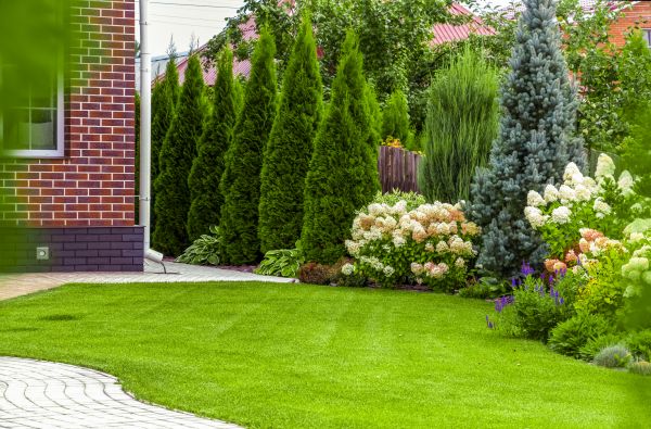 Spring Landscaping in Van Nuys