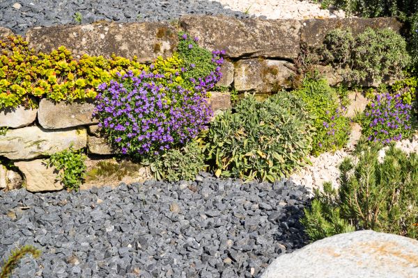 Landscaping Rocks Installation in Van Nuys