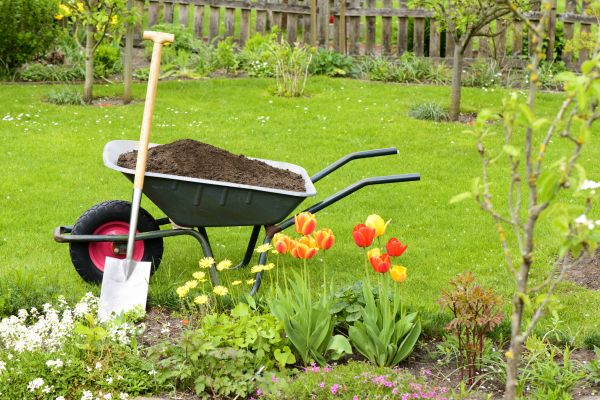 Spring Yard Renovation in Van Nuys