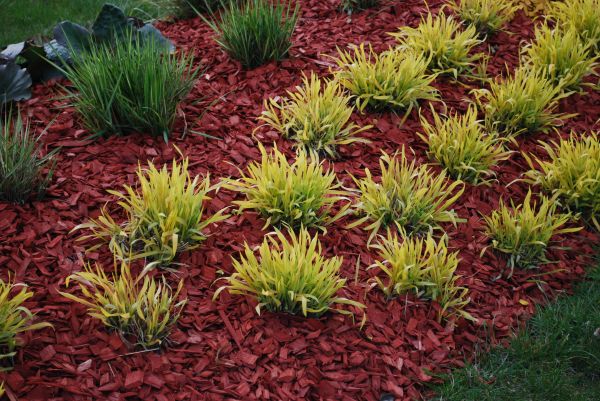 Red Mulch Installation in Van Nuys