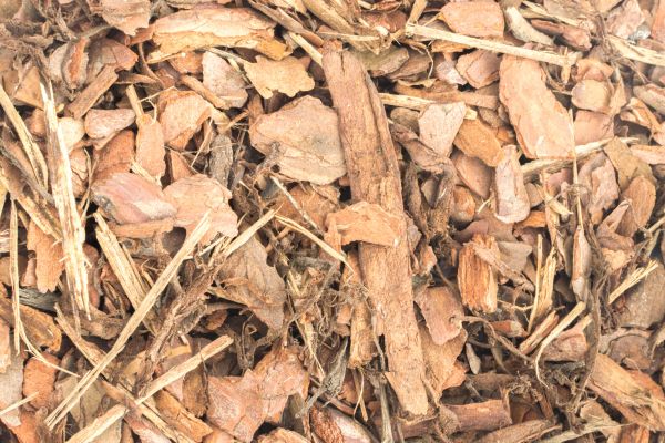 Bark Mulch Installation in Van Nuys