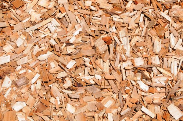 Cypress Mulch Spreading in Van Nuys