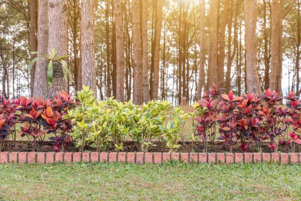 Small Garden Landscaping in Van Nuys