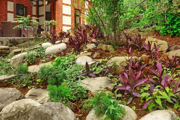 Rock Garden Landscaping in Van Nuys