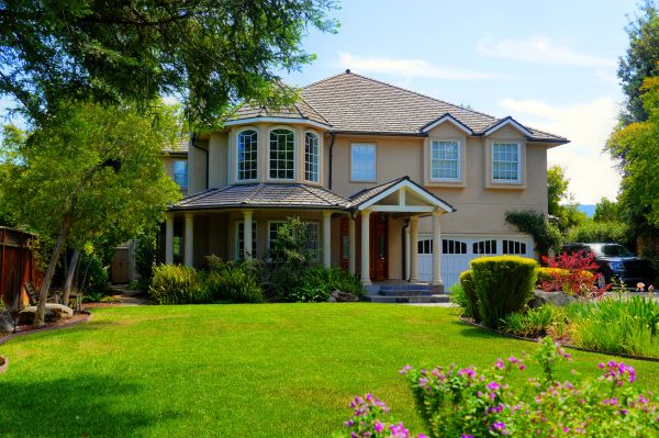 Large Yard Landscaping in Van Nuys