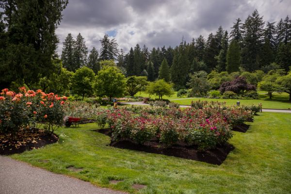 Flower Garden Landscaping in Van Nuys
