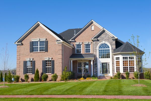 New Construction Landscaping in Van Nuys
