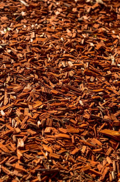 Cedar Mulch Spreading in Van Nuys