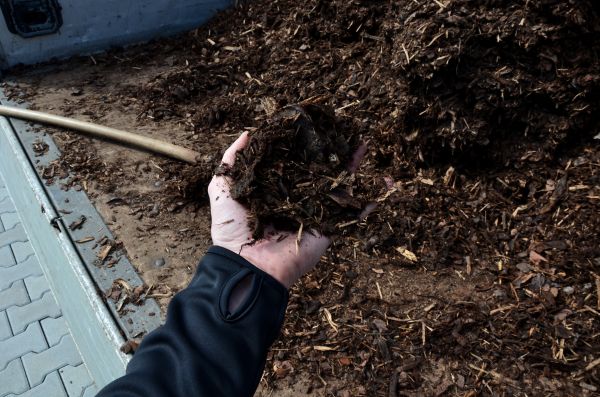 Condo Mulching in Van Nuys