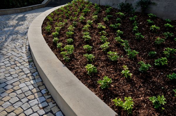 Commercial Mulching in Van Nuys