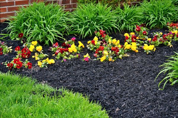 Apartment Mulching in Van Nuys