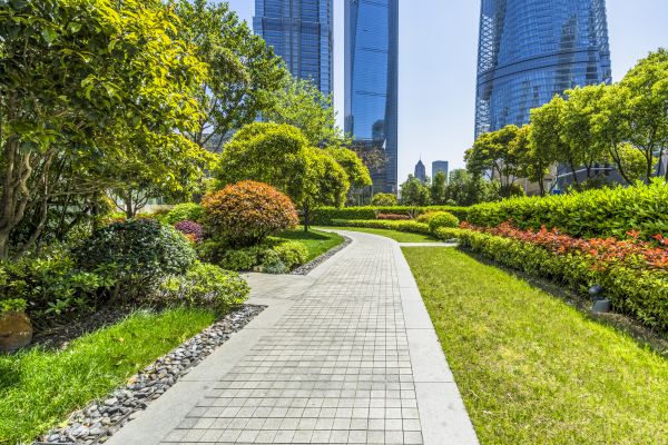 Commercial Landscaping in Van Nuys