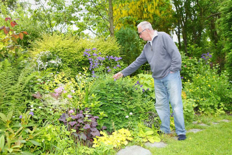 Finished Landscape Projects