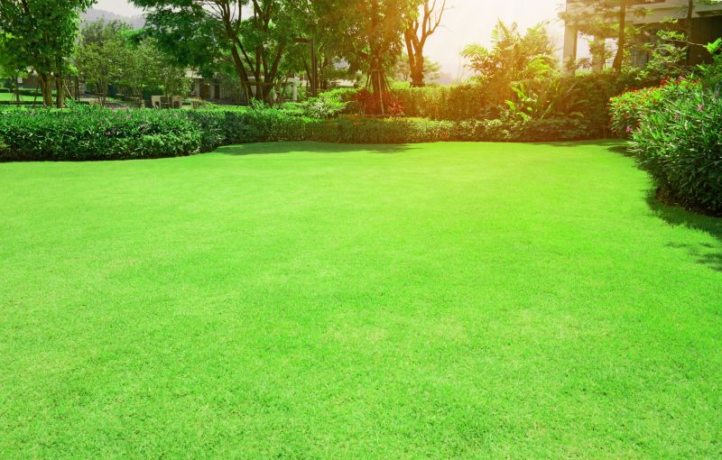 Lawn and Turf Care