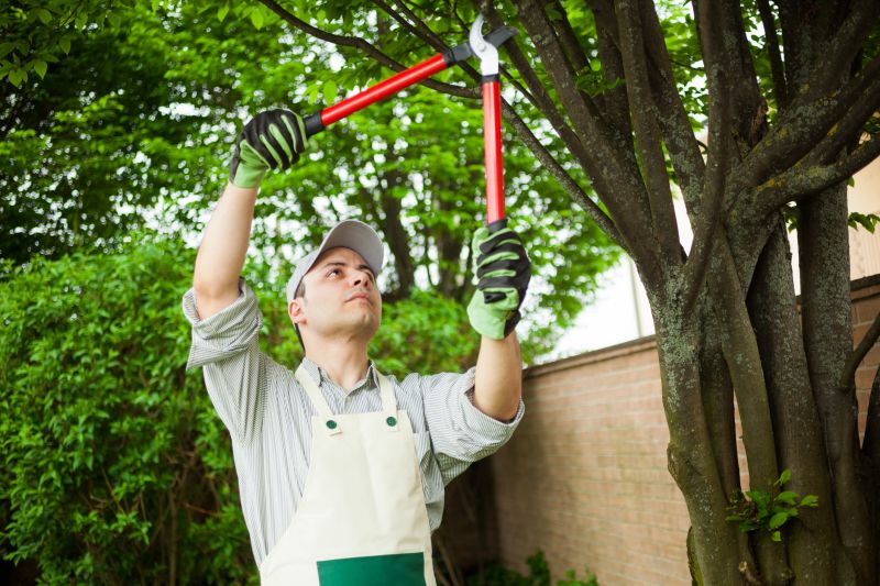 Tree Care Professionals